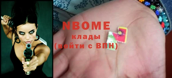 прущие грибы Арсеньев