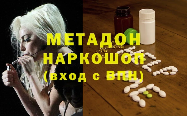 прущие грибы Арсеньев