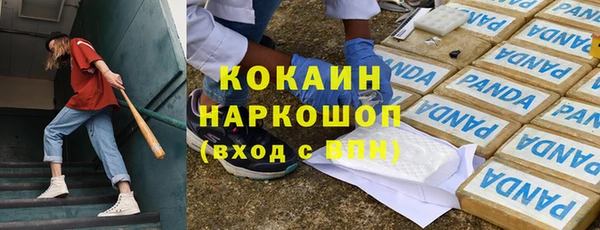 прущие грибы Арсеньев