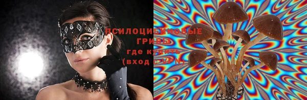 винт Михайловск